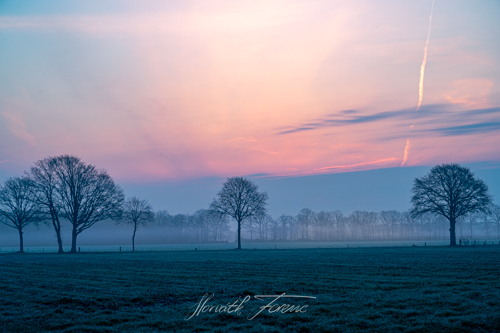 FHZ22 0330_5972 HDR