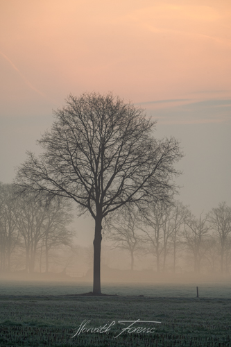 FHZ22 0330_5978 HDR
