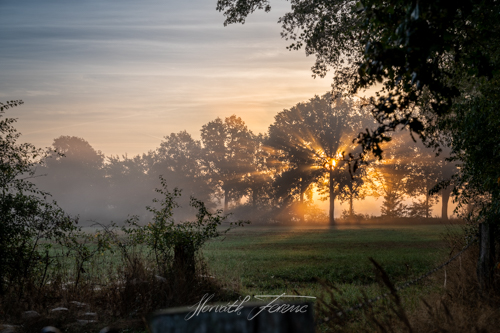 FHZ22 0912_2285 HDR