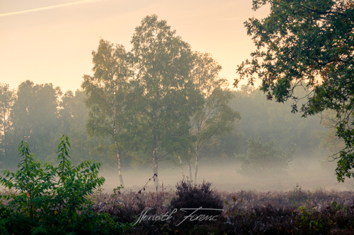 FHZ22 1009_3178 HDR