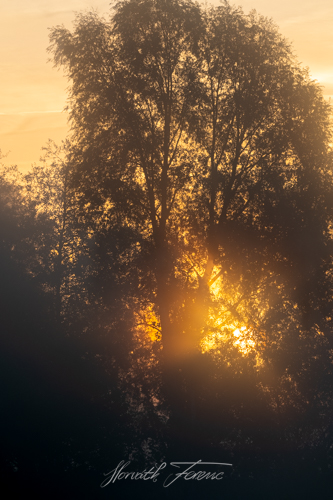 FHZ22 1009_3187 HDR
