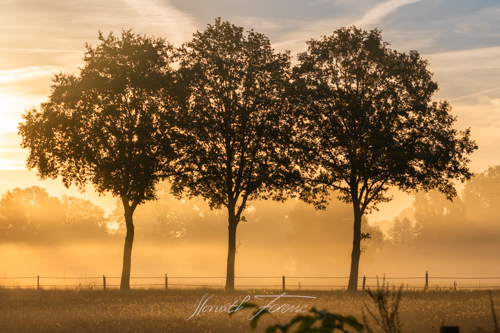 FHZ22 1009_3194 HDR