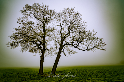 20171202_FHD7587 HDR