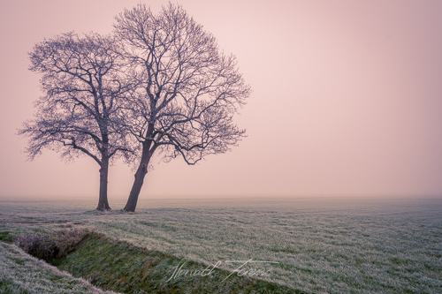 20171202_FHD7594 HDR