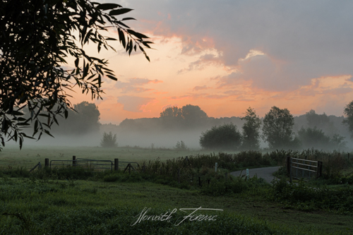20180902_FHD1868