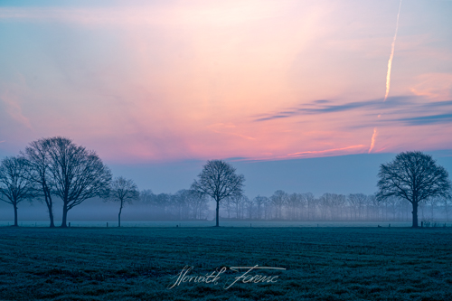 FHZ22 0330_5972 HDR