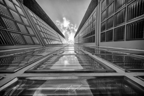 20180511_FHD9461 bewerkt