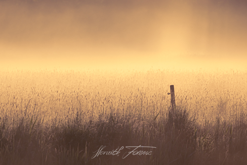 FHZ22 0515_6623