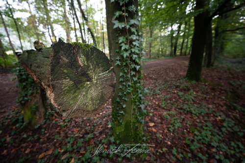 FHZ22 0910_2251