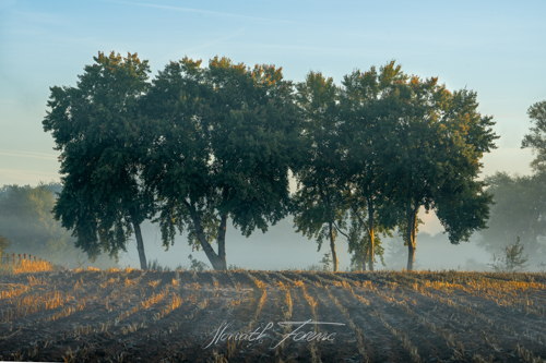 FHZ22 1009_3176 HDR bewerkt