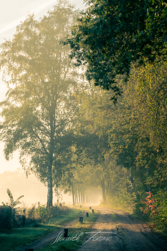 FHZ22 1009_3197 HDR