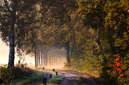 FHZ22 1009_3200 HDR