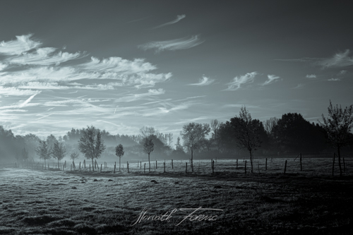 FHZ22 1113_4172 bewerkt