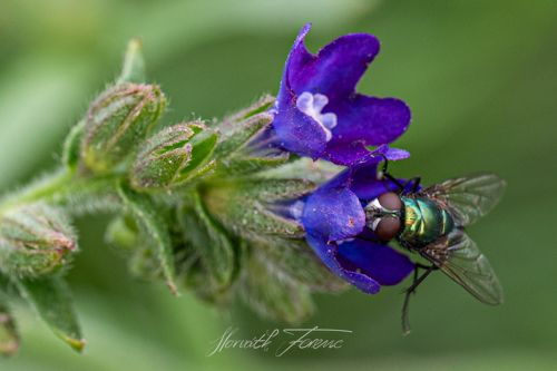 FHZ23 0822_6383