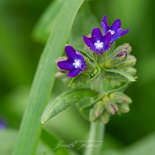 FHZ23 0822_6394