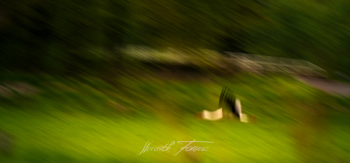 FHZ22 0501_6459