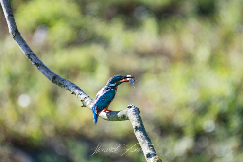 20160824_FHD0182