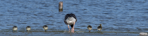 20170416_FHD4646