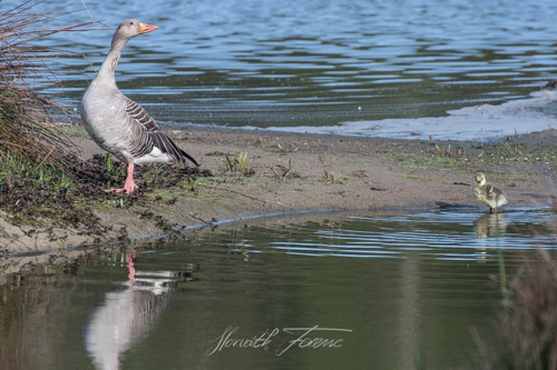 20170416_FHD4652