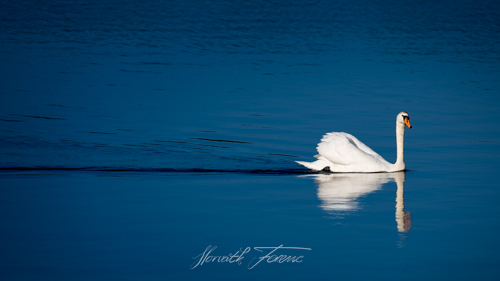 FHZ22 0424_6294