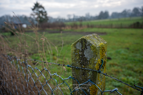 FHZ21 0101_0755