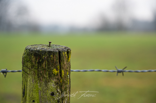 FHZ21 0101_0766