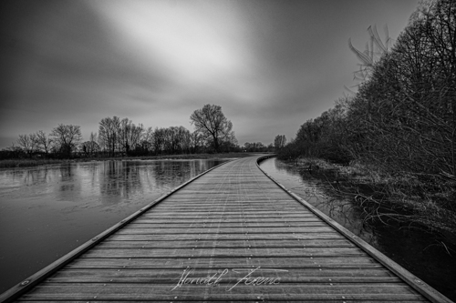 FHZ23 0122_4560 bewerkt